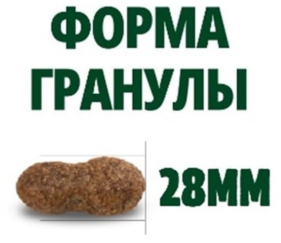   Guabi Natural Dog Adult (  ) (,  3)