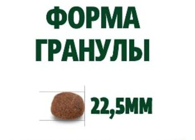   Guabi Natural Dog Adult (   ) (,  3)