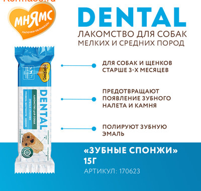   DENTAL   " " 15 (,  3)