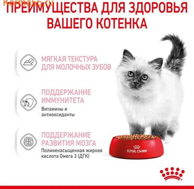   Royal Canin Kitten Gravy ( ) (,  3)