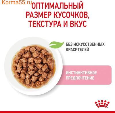   Royal Canin Kitten Gravy ( ) (,  5)