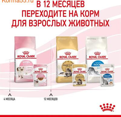   Royal Canin Kitten Gravy ( ) (,  7)