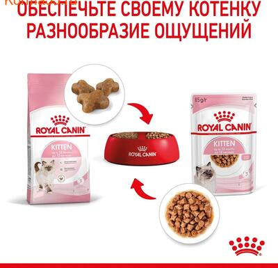   Royal Canin Kitten Gravy ( ) (,  9)