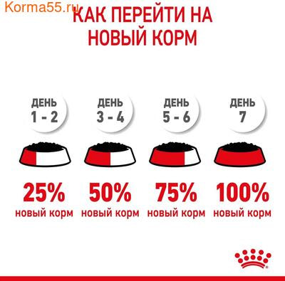   Royal Canin Kitten Gravy ( ) (,  10)