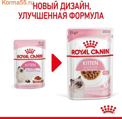   Royal Canin Kitten Gravy ( ) (,  11)