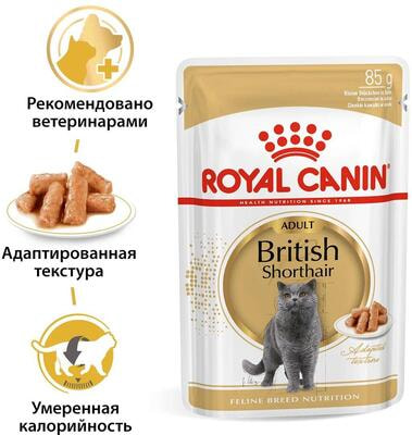   Royal Canin British Shorthair Adult ( ) (,  3)