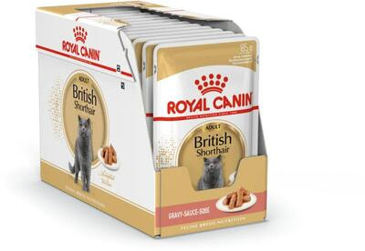   Royal Canin British Shorthair Adult ( ) (,  4)