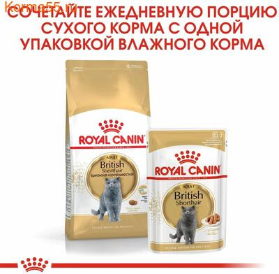   Royal Canin British Shorthair Adult ( ) (,  5)