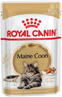   Royal Canin Maine Coon Adult ( ) (,  1)