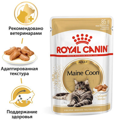   Royal Canin Maine Coon Adult ( ) (,  3)
