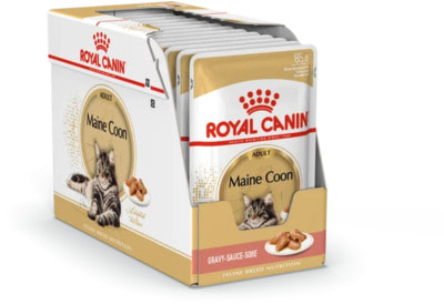   Royal Canin Maine Coon Adult ( ) (,  4)