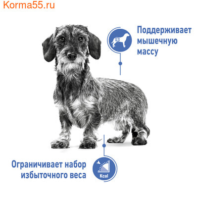 Сухой корм Royal canin X-Small Light Weight Care (фото, вид 1)