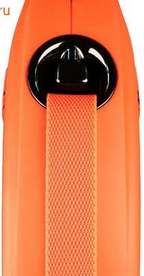 Flexi Xtreme L ( 65 ) 5   (,  2)