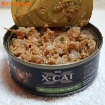  X-CAT    (,  1)