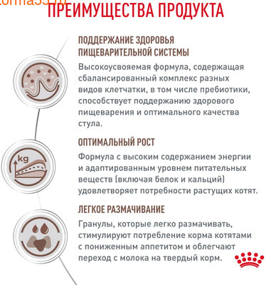   Royal canin Gastrointestinal Kitten (,  7)