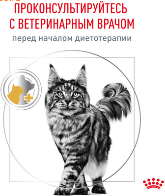   Royal canin Urinary S/O feline (,  8)