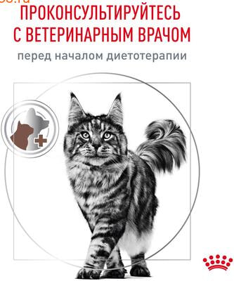   Royal canin GASTROINTESTINAL FELINE  (,  7)