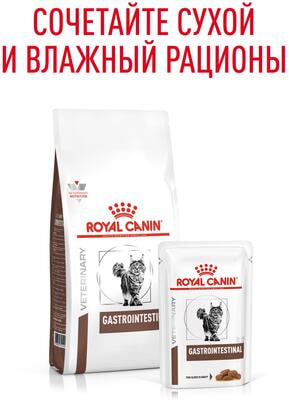   Royal canin GASTROINTESTINAL FELINE  (,  9)