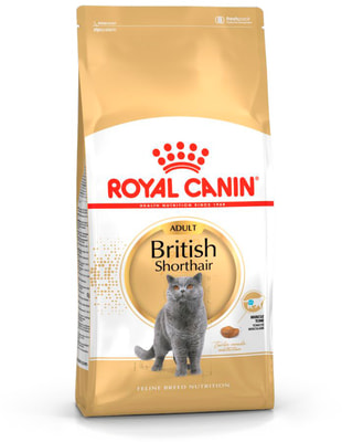   Royal canin British Shorthair Adult (,  1)