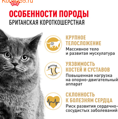   Royal canin British Shorthair Adult (,  2)