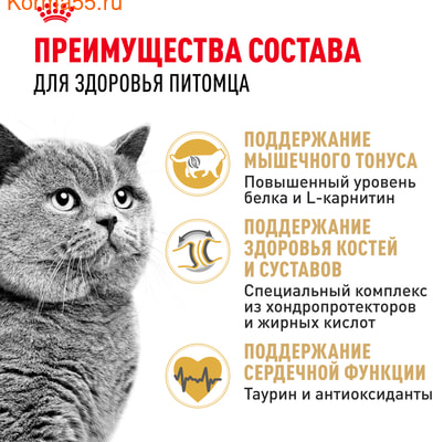   Royal canin British Shorthair Adult (,  3)