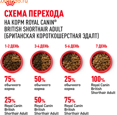   Royal canin British Shorthair Adult (,  7)