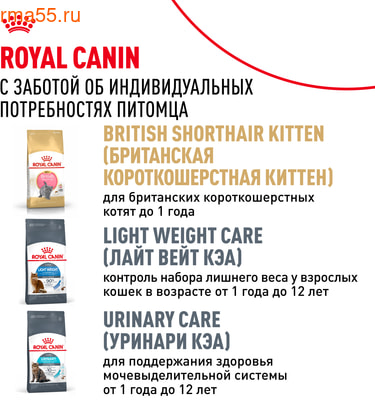  Royal canin British Shorthair Adult (,  10)