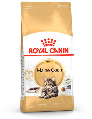   Royal canin Maine Coon Adult (,  1)