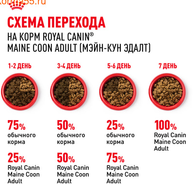   Royal canin Maine Coon Adult (,  7)