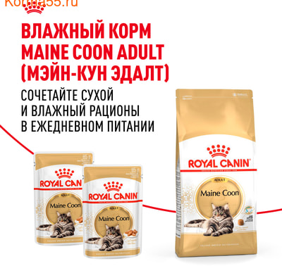   Royal canin Maine Coon Adult (,  8)