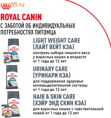   Royal canin Maine Coon Adult (,  10)