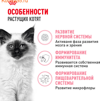   Royal canin Kitten (,  2)