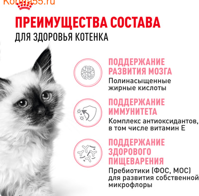   Royal canin Kitten (,  3)