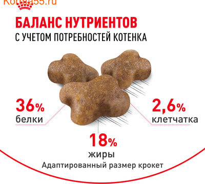   Royal canin Kitten (,  4)