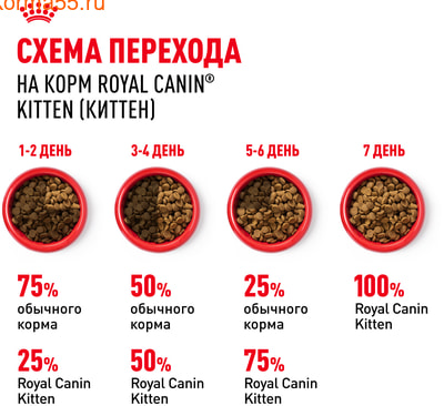   Royal canin Kitten (,  7)