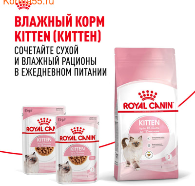   Royal canin Kitten (,  8)