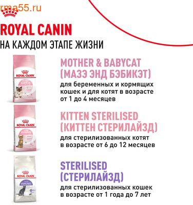   Royal canin Kitten (,  10)