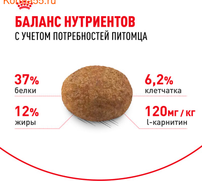   Royal canin Sterilised 37 (,  2)