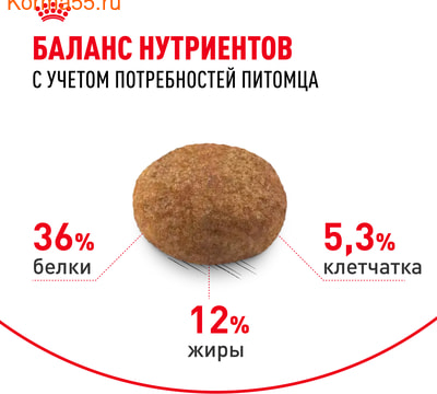   Royal canin Sterilised 7+ (,  4)
