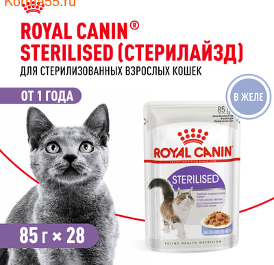   Royal Canin Sterilised   (,  1)