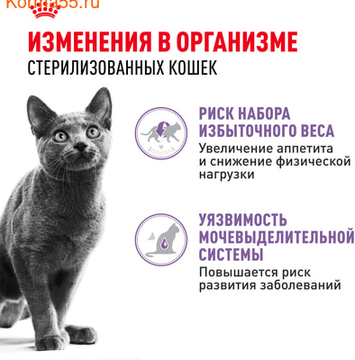   Royal Canin Sterilised   (,  3)