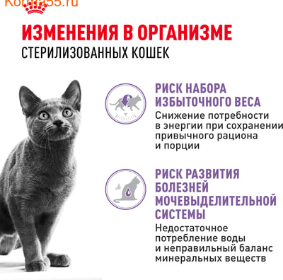   Royal Canin Sterilised   (,  3)