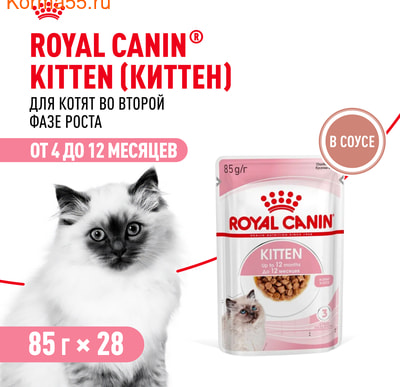   Royal Canin Kitten    (,  1)