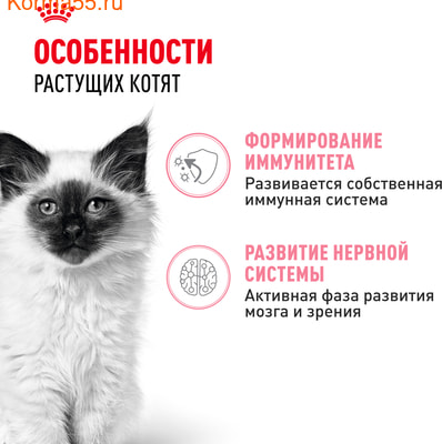   Royal Canin Kitten    (,  3)