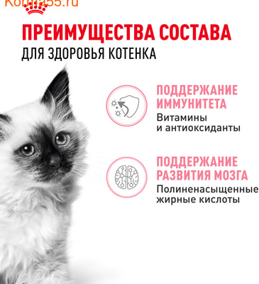  Royal Canin Kitten    (,  4)