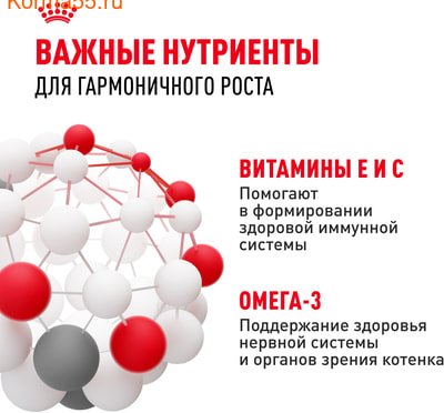   Royal Canin Kitten    (,  6)