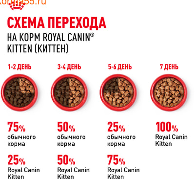   Royal Canin Kitten    (,  8)
