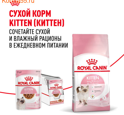   Royal Canin Kitten    (,  9)