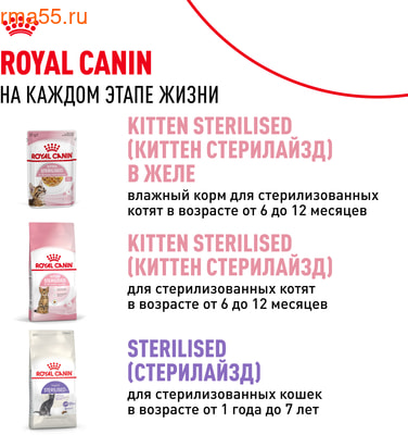   Royal Canin Kitten    (,  11)