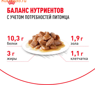   Royal Canin Indoor Sterilised 7+   (,  4)